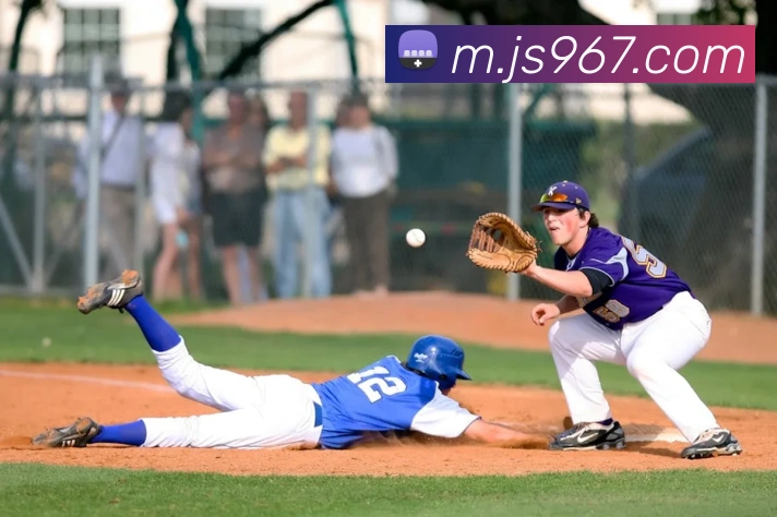 澳门金沙国际平台生态图